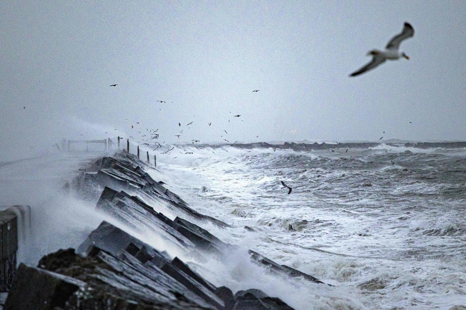 Storm Corrie aan de Nederlandse kust 
