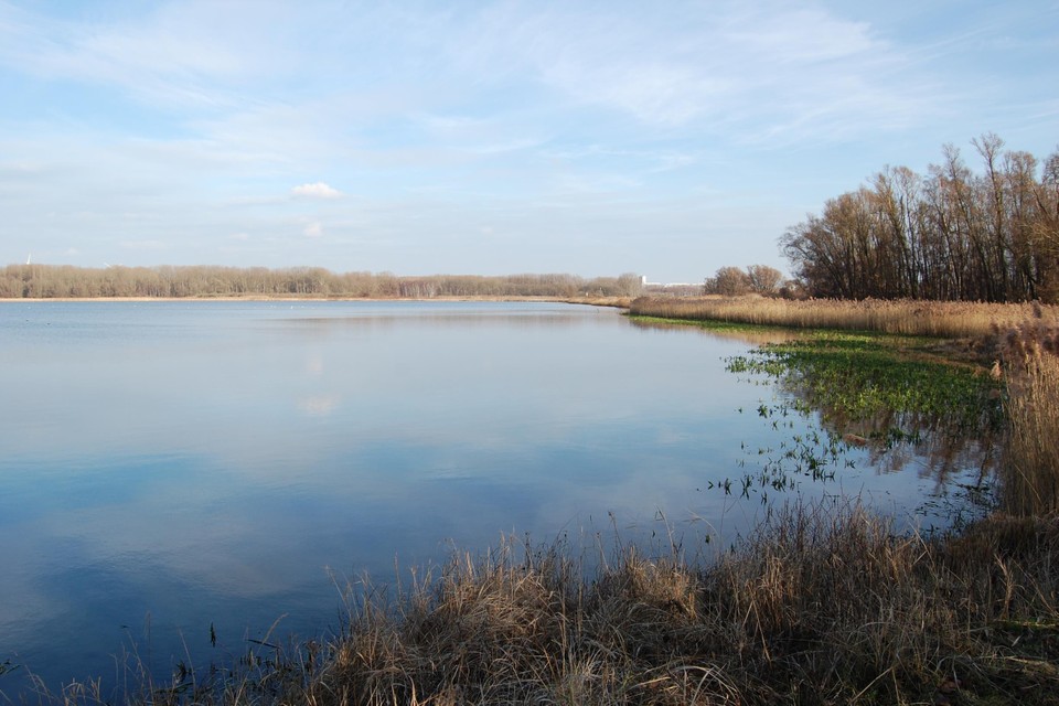 Natuurgebied Blokkersdijk, waar het opgepompte water na zuivering naartoe zal gaan.