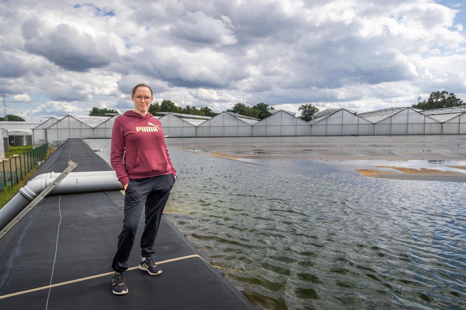 Melissa Boermans bij het opvangbekken van 8 miljoen liter regenwater aan de aardbeien- en blauwbessenkwekerij in Heusden-Zolder.