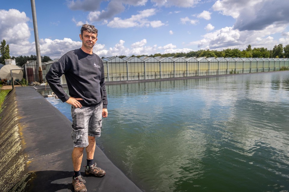 Gert Reijnders bij het reservoir van 5,5 miljoen liter regenwater aan zijn aardbeienkwekerij in Lummen.