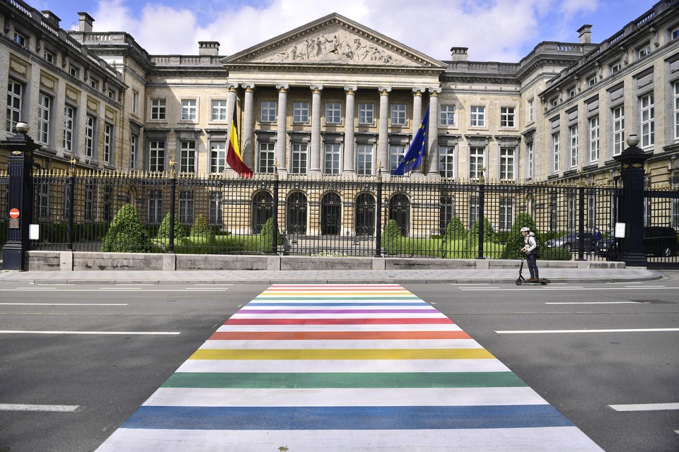 Naar aanleiding van de Internationale Dag tegen Homofobie en Transfobie was het zebrapad tussen het Paleis der Natie en het Warandepark in regenboogkleuren geverfd. 