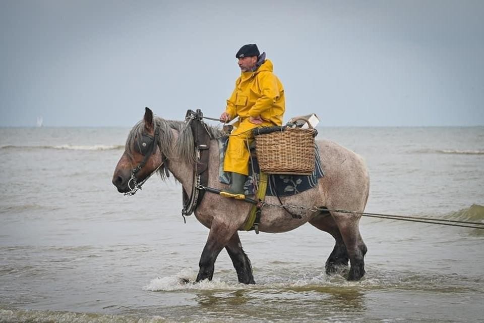 De bekende paardenvisser Johan Vanmassenhove zoals velen hem herinneren: op zijn paard op het strand van Oostduinkerke. 
