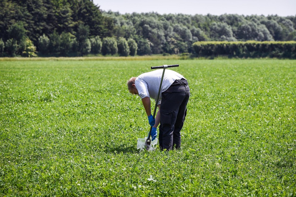 The Guardian omschrijft België als ‘de plaats met de hoogste verontreinigingsniveaus’. Op de foto: een veld in Zwijndrecht.