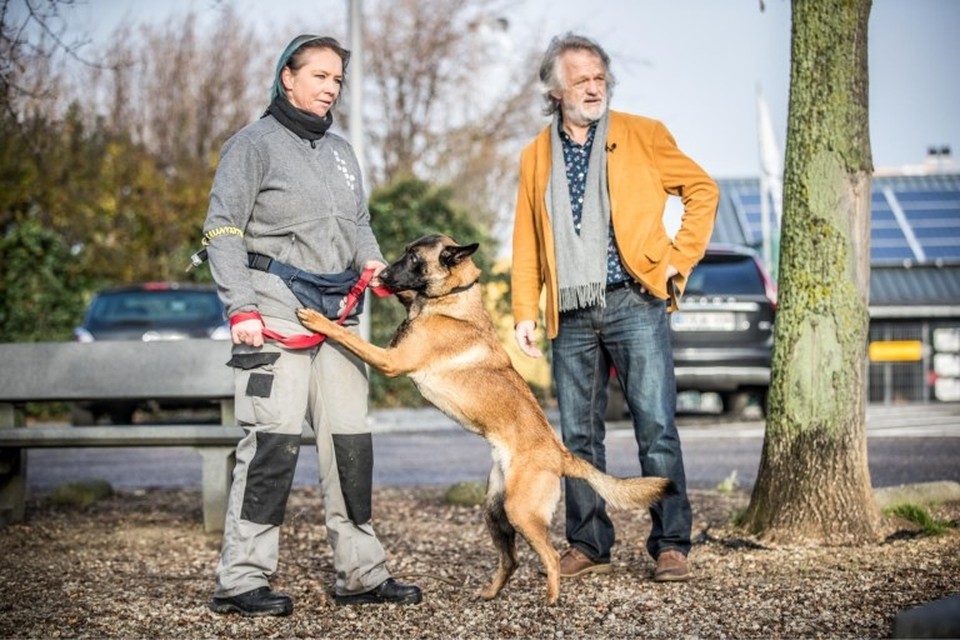 Dierengedragstherapeut Dany Grosemans (rechts) ging onder meer op wandel met Uscko om te kijken hoe de viervoeter op externe prikkels reageert. Sven Dillen 