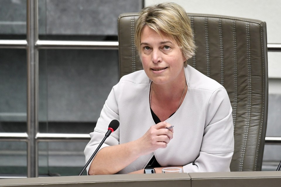 Vlaams minister van Omgeving Joke Schauvliege (CD&V). 