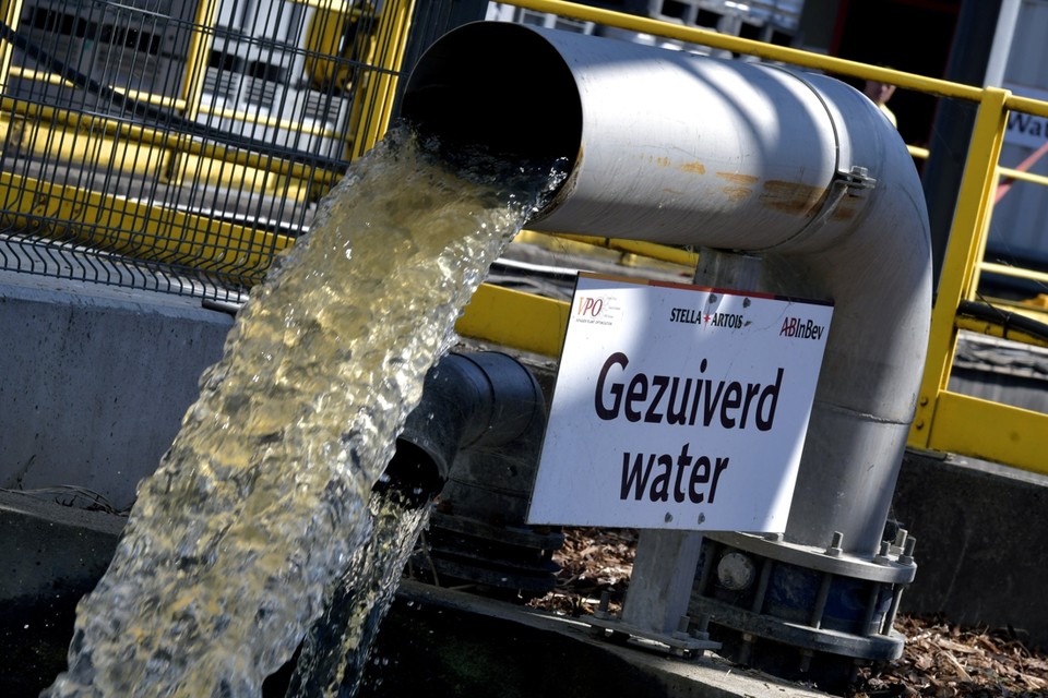 Het gereinigde afvalwater van brouwerij AB InBev. De groendienst van de stad Leuven gebruikt dat water om de planten te sproeien nu ze door de aanhoudende droogte geen water meer uit de Vaart kan pompen. 