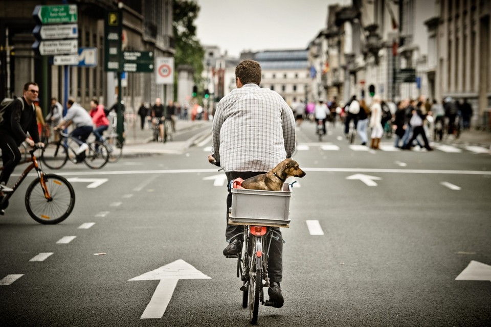 Met de fiets door Brussel zonder je leven te riskeren. Het kon voor één dag. 