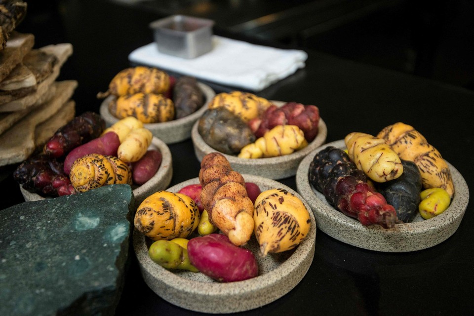 Aardappelen, maar dan op wereldniveau: in Central in Lima eet je een menu met ingrediënten uit vijftien Peruviaanse ecosystemen.