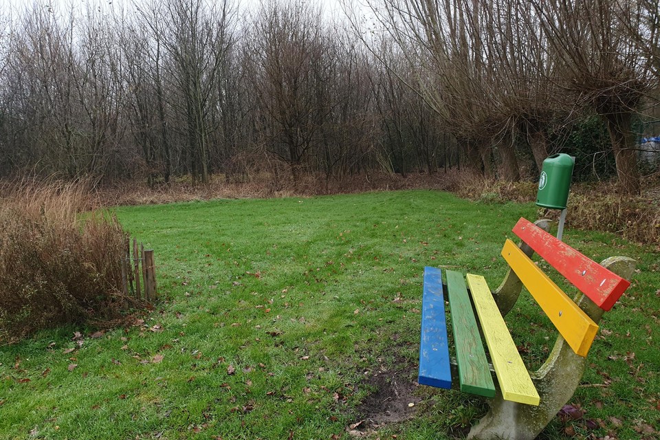 Een regenboogbank in het park waar David Polfliet werd teruggevonden. 