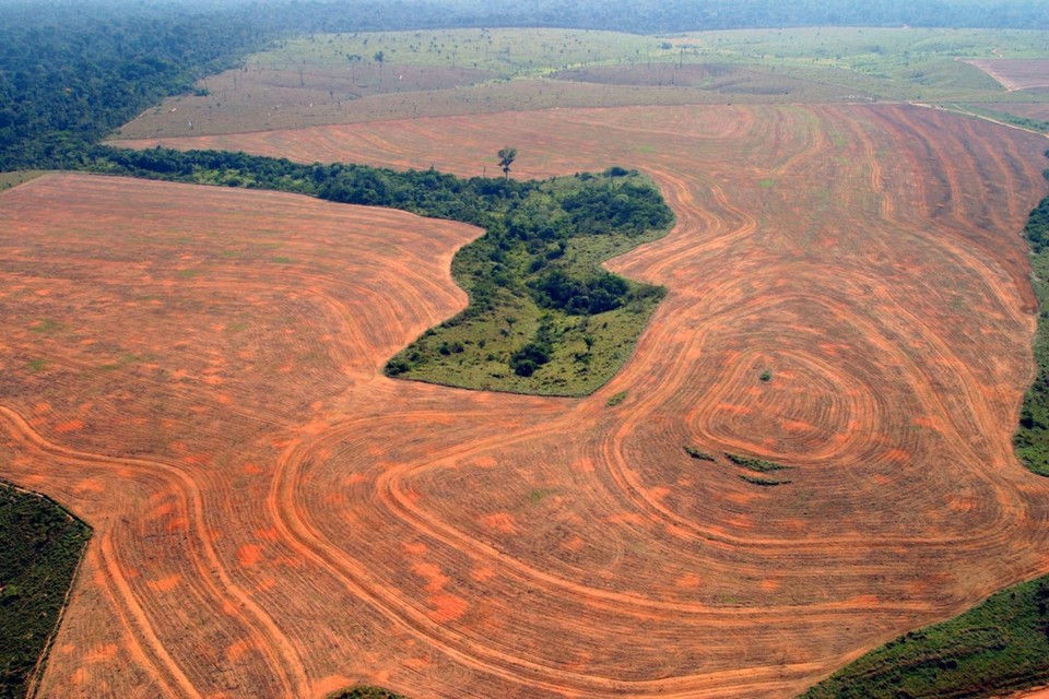 Brazilië is opnieuw een van de landen die het hardst werd getroffen door ontbossing 