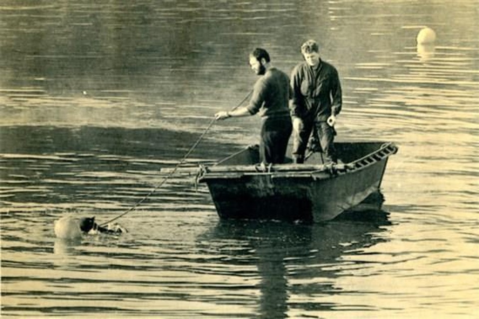 Beeld uit 1986: duikers zoeken verder in het kanaal vlakbij het hellend vlak van Ronquières naar wapens en andere voorwerpen van de Bende van Nijvel. 