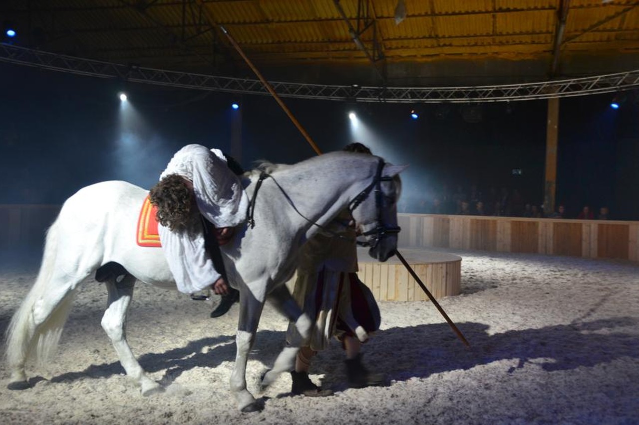 Paarden palmen pop-uptheater in | De Standaard Mobile