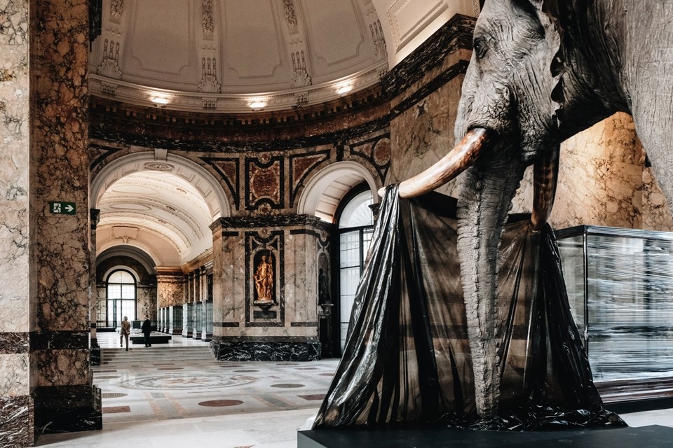 Het AfricaMuseum werd gebouwd ter meerdere eer en glorie van Leopold II. 
