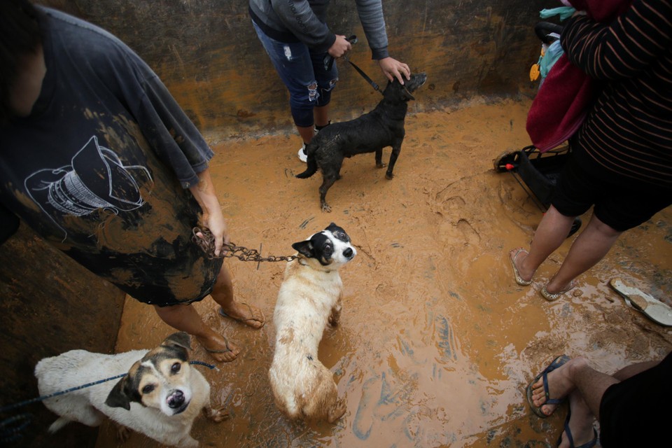 Mensen en hun huisdieren tijdens een evacuatie in Porto Alegre.