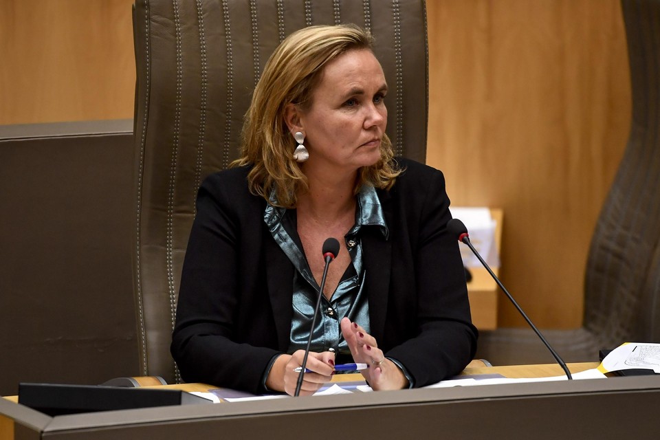 Vlaams parlementsvoorzitter Liesbeth Homans (N-VA). 