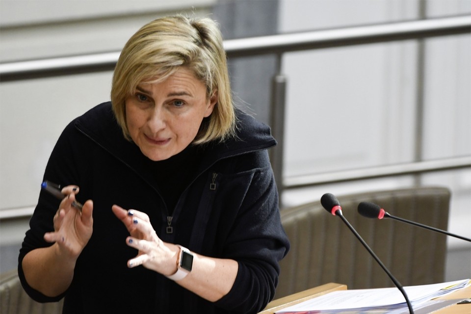Vlaams minister van Onderwijs Hilde Crevits (CD&V). 
