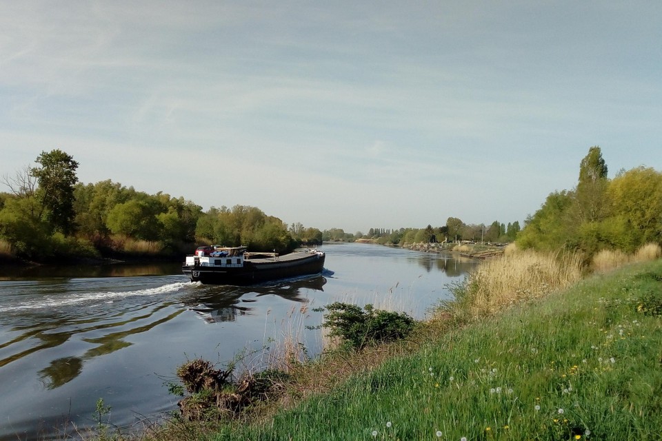 De Schelde tussen Dendermonde en Schoonaarde.