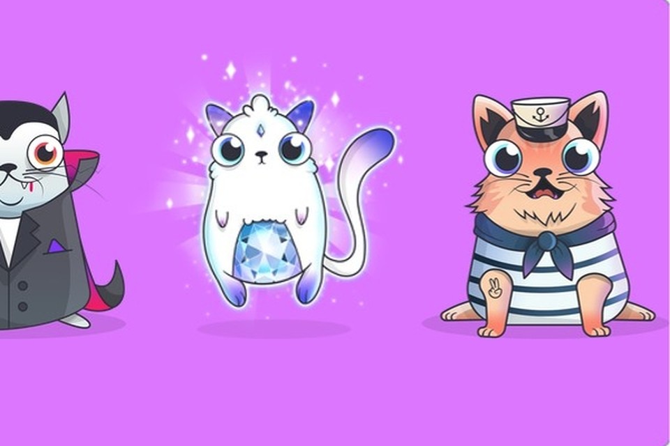 CryptoKitties: via een andere munt kopen spelers virtuele katten, die ze laten opgroeien en vervolgens verder verkopen. 