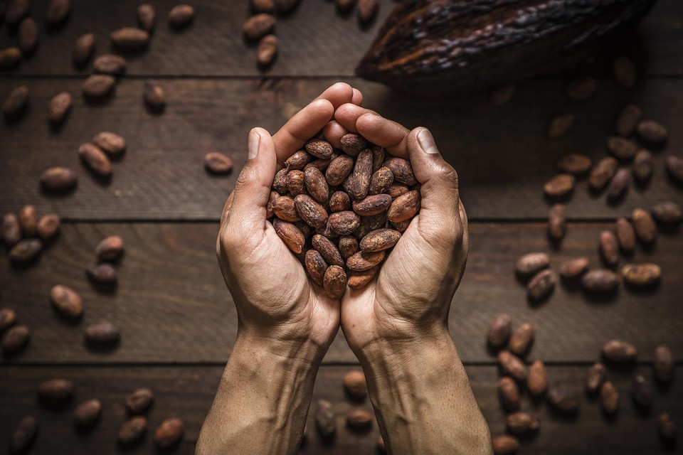 Cacao kost intussen 12.000 dollar per ton.
