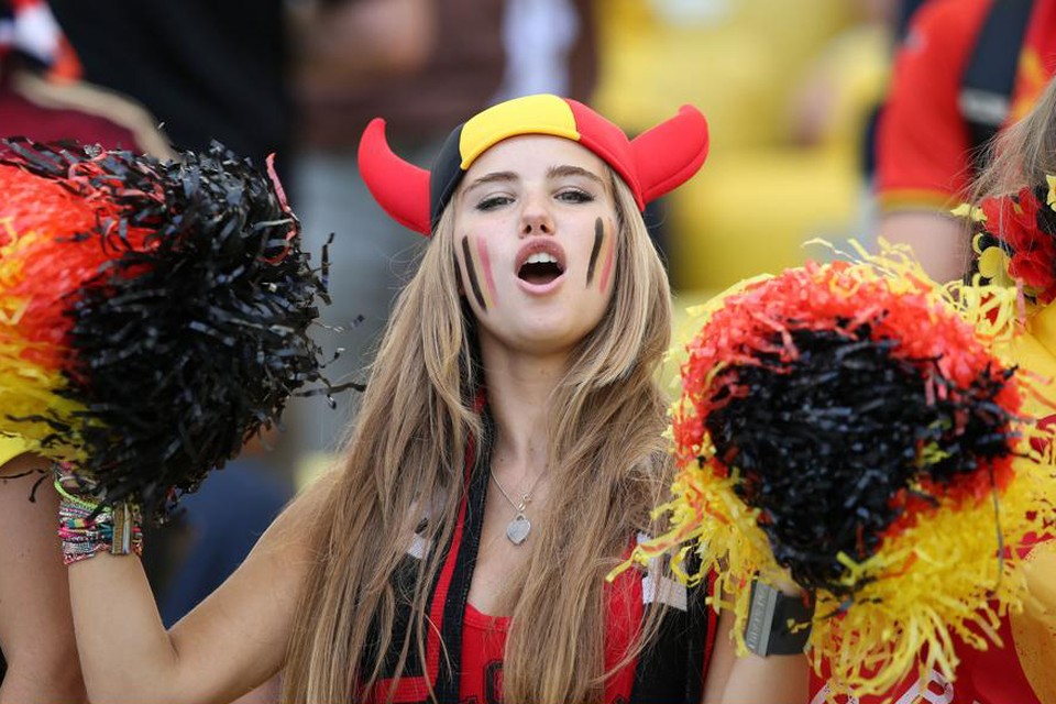 https%3A%2F%2Fstatic.standaard.be%2F%2FAssets%2FImages_Upload%2F2014%2F06%2F24%2FDUIVELIN.jpg