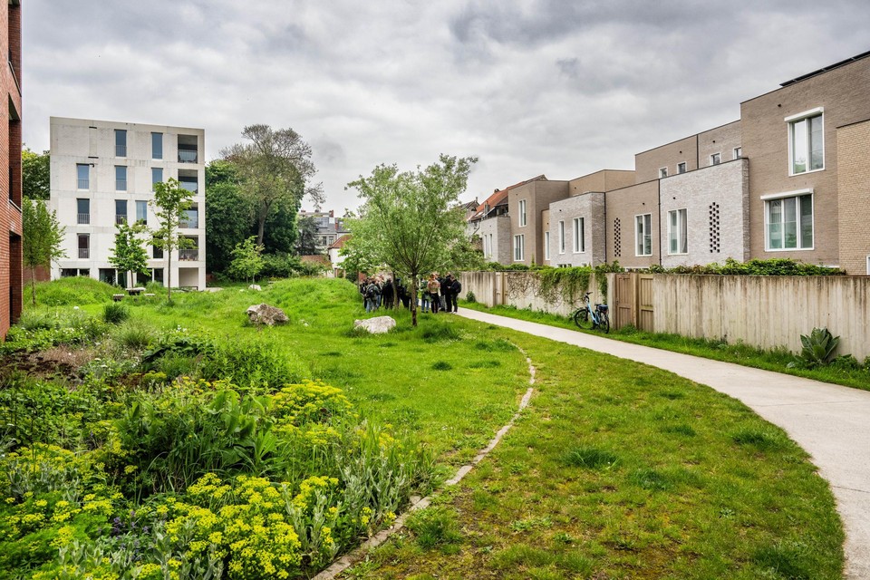 Een bouwproject met een weldadige binnentuin in de Gentse wijk Ekkergem.