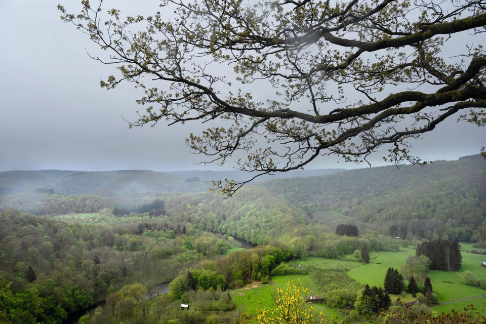 Vresse-sur-Semois is de meest bosrijke gemeente van het land.