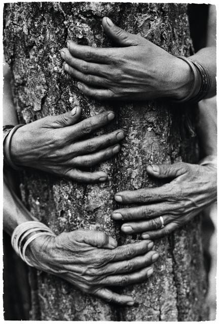 Pamela Singh, ‘Chipko tree huggers of the Himalayas #74’ (1994). Te zien in het Fomu in Antwerpen.