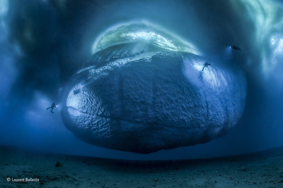 <P>Categorie biotopen: Geen dieren hier, wel het bewijs dat het grootste deel van een ijsberg – hier aan de Zuidpool – onder water zit. Deze foto is samengesteld uit 147 verschillende foto’s want de hele massa in één enkel beeld vatten, was onmogelijk. </P>