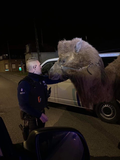 Een agent poseert met het dier. 