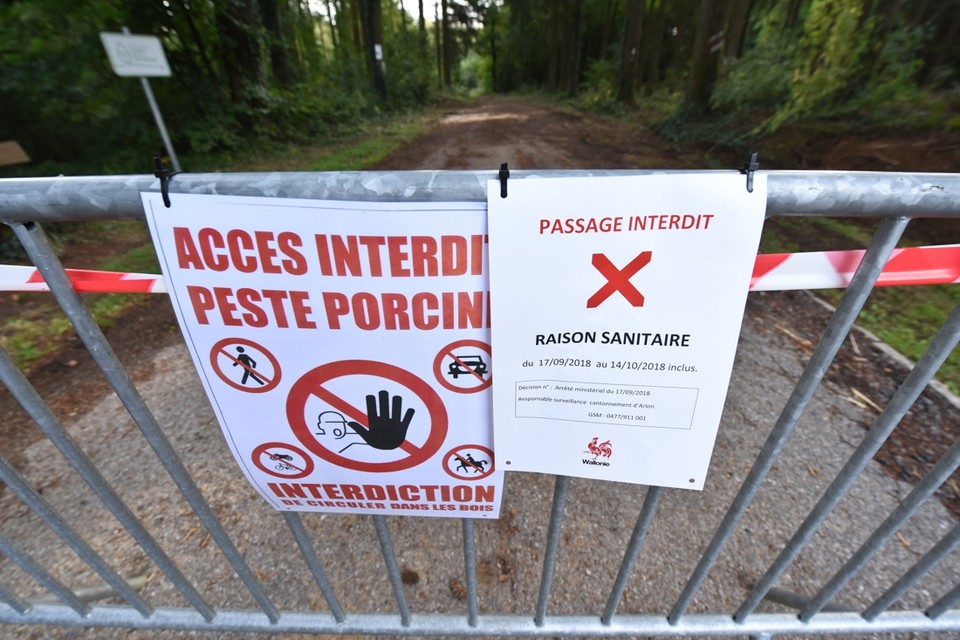 In Saint-Leger werden eerder al negen besmette kadavers gevonden. 