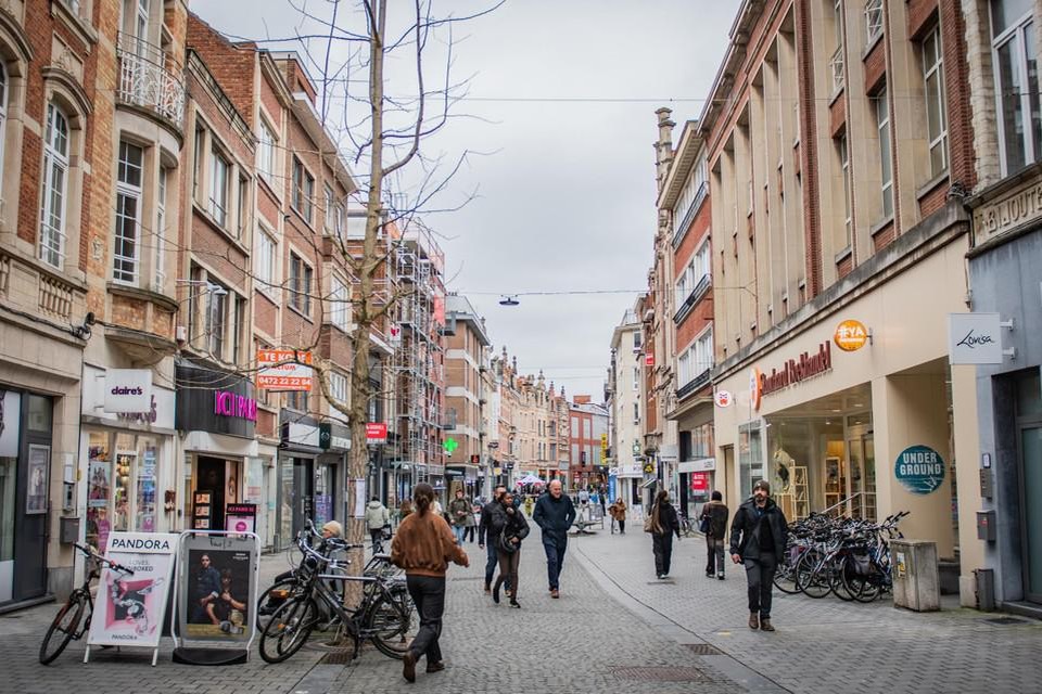 De twee ‘stinkbomen’ staan in het begin van de Leuvense Diestsestraat.