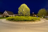 thumbnail: Dinsdag 14 april. Op een rotonde aan het begin van onze straat staat een lindeboom, die ’s nachts magistraal oplicht door het schijnsel van straatlantaarns. Al jaren wil ik hem fotograferen. Het kwam er nooit van. Tot nu.