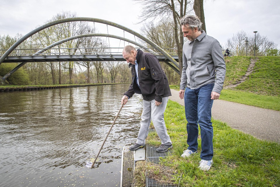 Jean-Pierre Penninger (l.) en Wannes Starckx demonstreren langs het kanaal Dessel-Schoten in Turnhout hoe je een watermonster neemt: een plastic potje aan een stok genageld, meer heb je niet nodig.