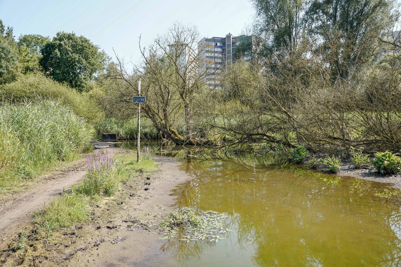 Een pastorale idylle in de hoofdstad? Wandel eens door het moeras van