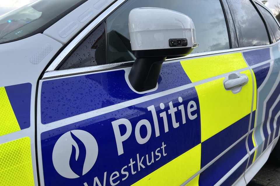De politie pakte de grote groep illegalen op in een lichte vrachtauto vlakbij duinen van Oostduinkerke.