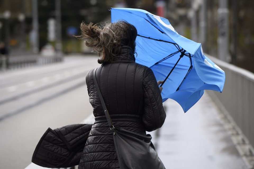 Regen en wind: dat betekent opletten met de paraplu 