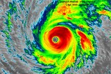 thumbnail: <P>De kracht van de orkaan was gisteren verwoestend met windsnelheden tot 300 kilometer per uur. </P>
