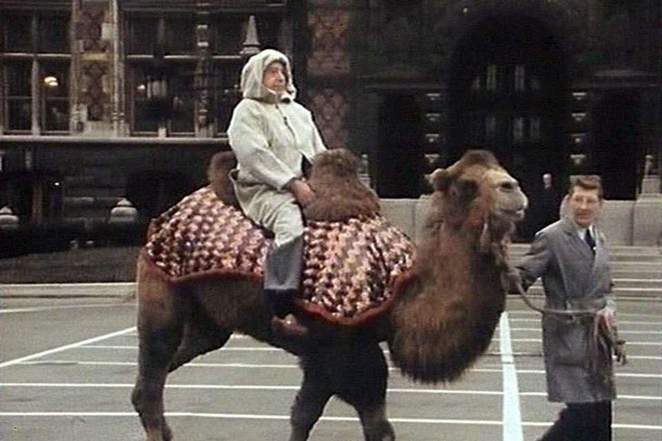 Roger Nols op zijn kameel.