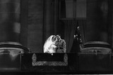 thumbnail: Het kersverse huwelijkspaar groet de bevolking op het balkon (1960). 