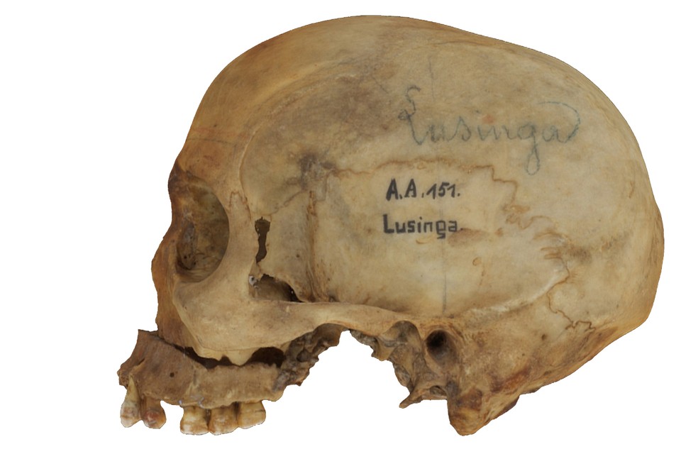 De schedel van Lusinga.