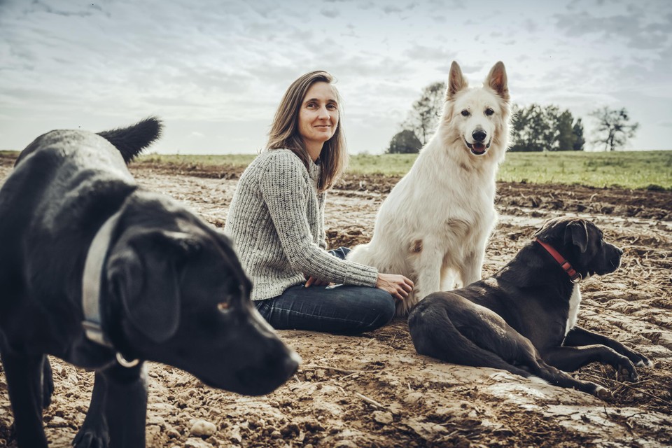 Hondenexpert Joke Monteny met haar honden. 
