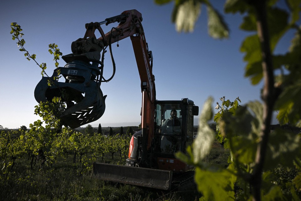 De nieuwe generatie wijnmakers wil breken met de traditionele regels in Bordeaux.