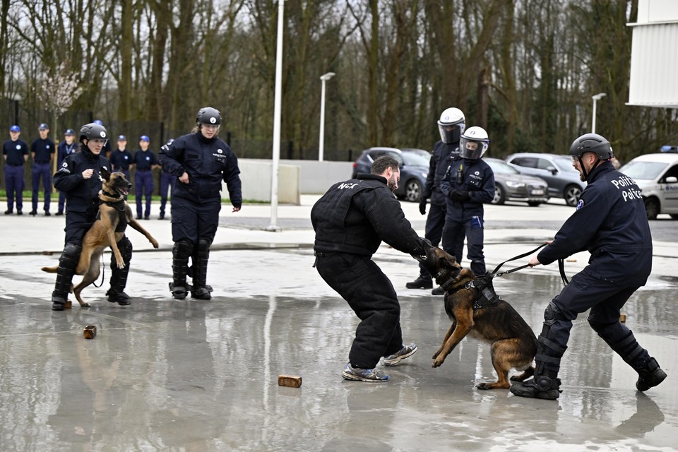 Themabeeld. Interventie-oefeningen bij de Brusselse politie.